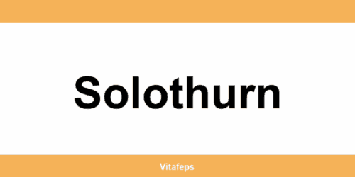 Kontakt UPS Access Point in Solothurn